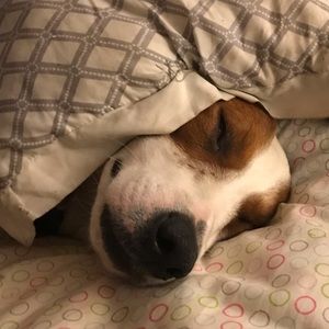 Meet your Posher, Tricia